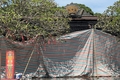 Thẩm định Dự án tu bổ, tôn tạo di tích chùa Xuân Lũng