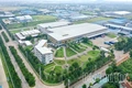 Bài 3 : Để kinh tế xanh trở thành động lực tăng trưởng mới
