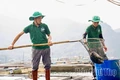 Bài 3 : Để kinh tế xanh trở thành động lực tăng trưởng mới