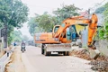 Kỳ II: Đảng viên trẻ - Hạt nhân chuyển đổi số