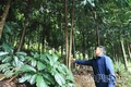 Người có uy tín - “lá chắn mềm” bảo vệ nền tảng tư tưởng của Đảng - Kỳ 2: Người có uy tín - điểm tựa tinh thần của bản làng