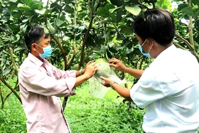 Nhiều hoạt động hỗ trợ hợp tác xã nâng cao năng lực cạnh tranh