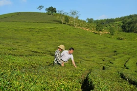 Hiệu quả từ chính sách dân tộc
