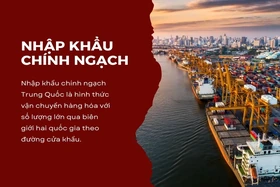 Nhập khẩu chính ngạch là gì? Thủ tục nhập hàng chính ngạch tại Việt Nam