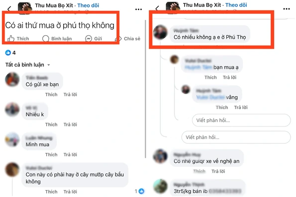 Cảnh giác mánh khóe lừa đảo, thu mua nông sản “lạ” trên “chợ trời” online