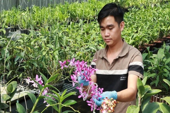 Để hoa lan Bảo Lộc trở thành thương hiệu đặc trưng