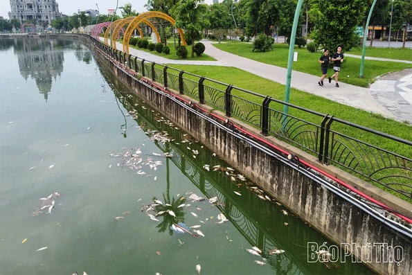 Cần xử lý tình trạng ô nhiễm môi trường tại hồ công viên Văn Lang