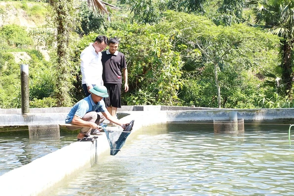 Cá tầm “ngược núi” Cao Bồ