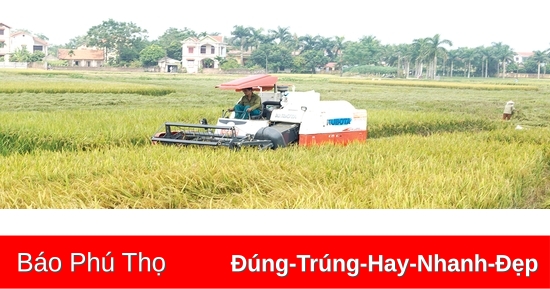 Dẫn lối, đồng lòng, “tam nông” phát triển