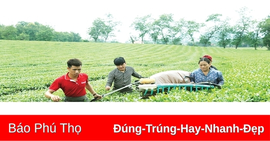 Dẫn lối, đồng lòng, “tam nông” phát triển