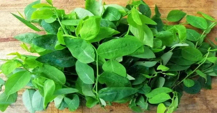 Rau ngót tốt và không tốt cho những ai?