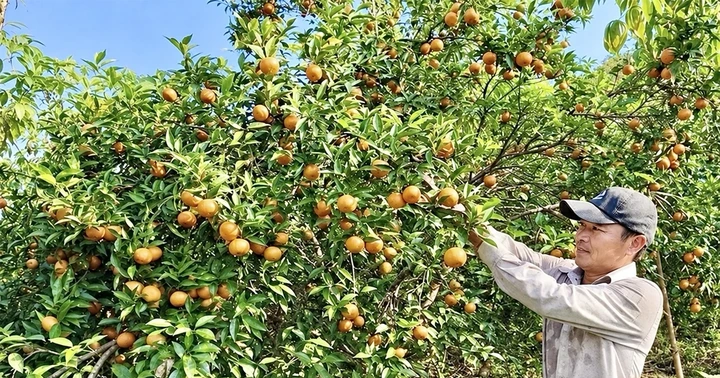 Tân Pheo trao sinh kế, mở hướng thoát nghèo